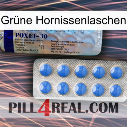 Grüne Hornissenlaschen 39
